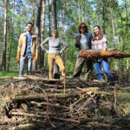4 Menschen stehen nebeneinander im Wald vor geschnittenen Ästen. Eine Person hält einen abgesägten Baumstamm mit den Händen.